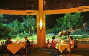 Tsavo Lion Restaurant, Балі, Індонезія.